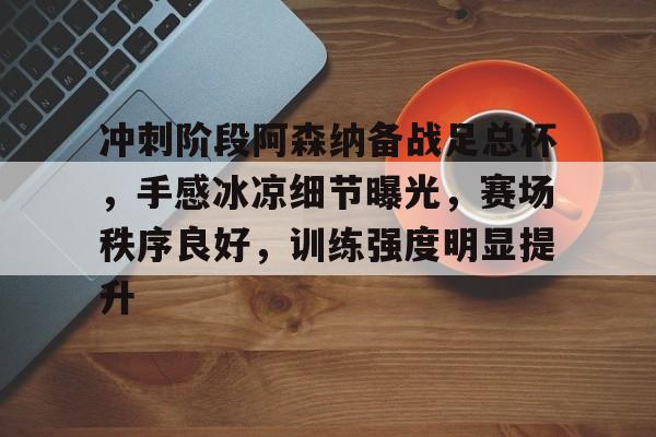 冲刺阶段阿森纳备战足总杯，手感冰凉细节曝光，赛场秩序良好，训练强度明显提升的简单介绍